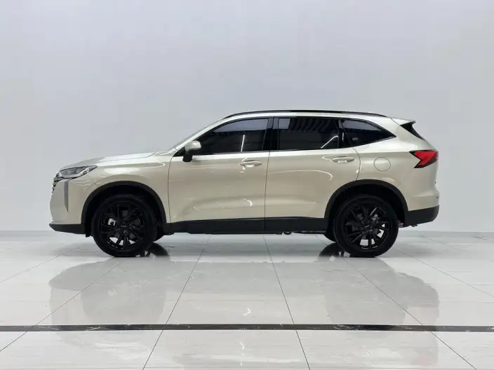 Haval H6 2024 Model 2.0T Automatic 4WD Max Edition – фото 4