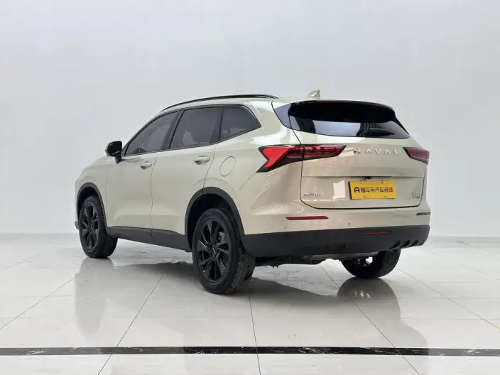 Haval H6 2024 Model 2.0T Automatic 4WD Max Edition – фото 5