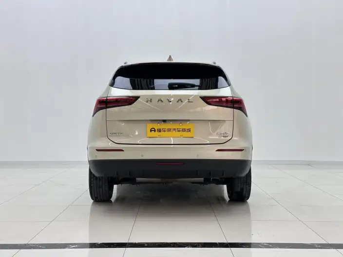 Haval H6 2024 Model 2.0T Automatic 4WD Max Edition – фото 6