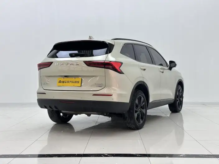 Haval H6 2024 Model 2.0T Automatic 4WD Max Edition – фото 7