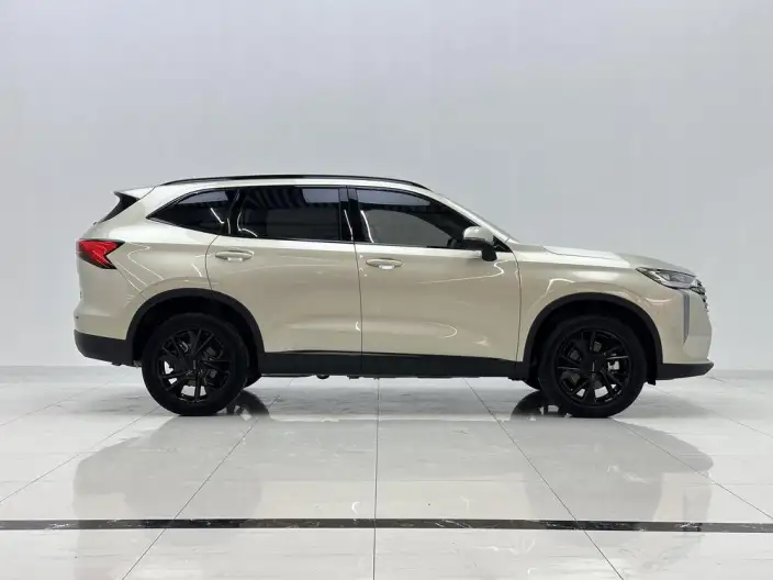 Haval H6 2024 Model 2.0T Automatic 4WD Max Edition – фото 8