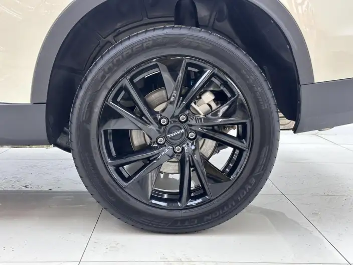 Haval H6 2024 Model 2.0T Automatic 4WD Max Edition – фото 9