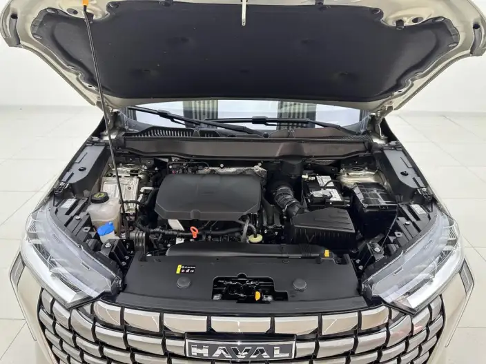 Haval H6 2024 Model 2.0T Automatic 4WD Max Edition – фото 10