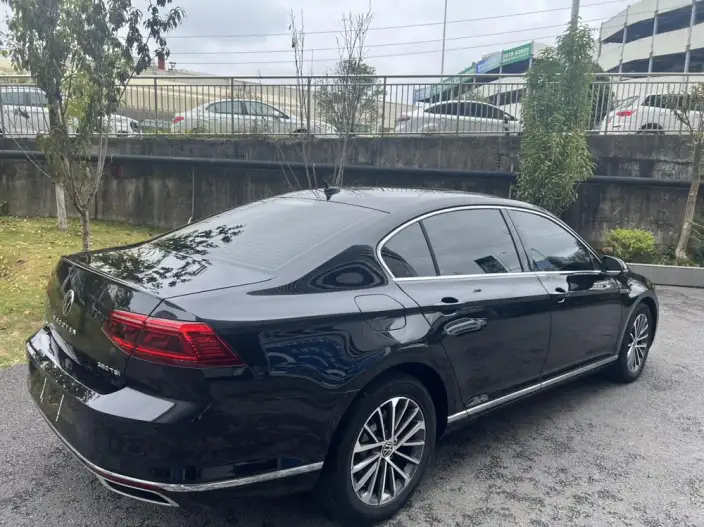 Volkswagen Magotan 2020 Model 380TSI DSG Luxury Model – фото 5