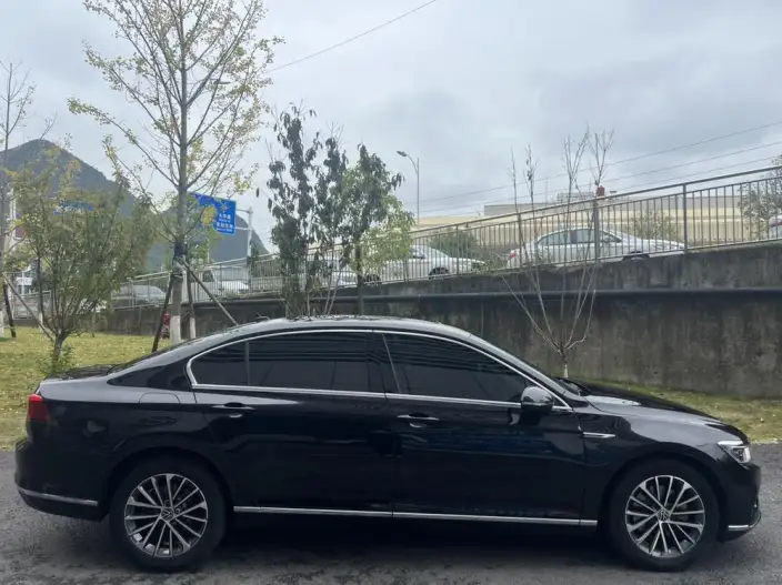Volkswagen Magotan 2020 Model 380TSI DSG Luxury Model – фото 6