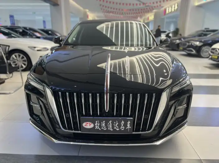 Hongqi H5 2025 Model 2.0T Automatic Flag Enjoy Edition – фото 2
