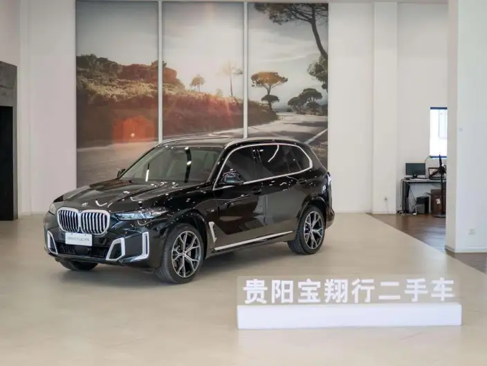 BMW X5 2023 Model xDrive30Li Exclusive Model M Sports Set – фото 1