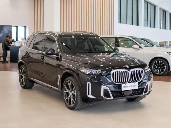 BMW X5 2023 Model xDrive30Li Exclusive Model M Sports Set – фото 3