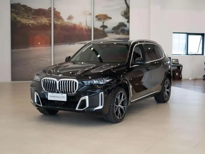 BMW X5 2023 Model xDrive30Li Exclusive Model M Sports Set – фото 9