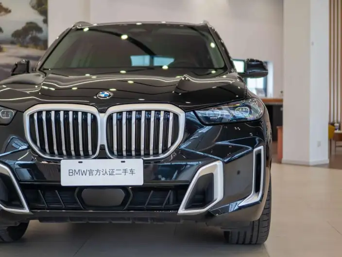BMW X5 2023 Model xDrive30Li Exclusive Model M Sports Set – фото 10