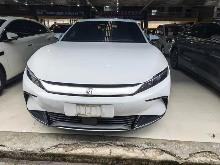 BYD Han EV 2023 Model Champion Edition 506KM Noble Model – фото 2