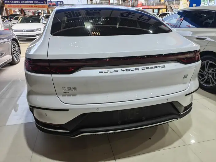 BYD Han EV 2023 Model Champion Edition 506KM Noble Model – фото 5