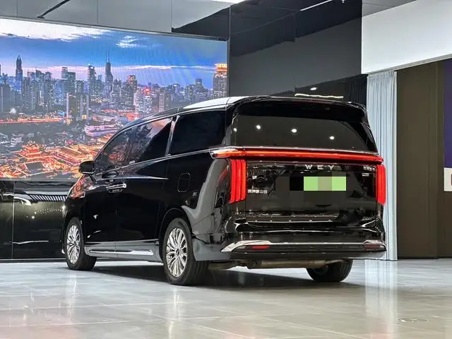 Wey Gaoshan P HEV 2025 Model 4WD Wey Gaoshan 8