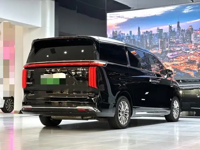 Wey Gaoshan P HEV 2025 Model 4WD Wey Gaoshan 8 – фото 6