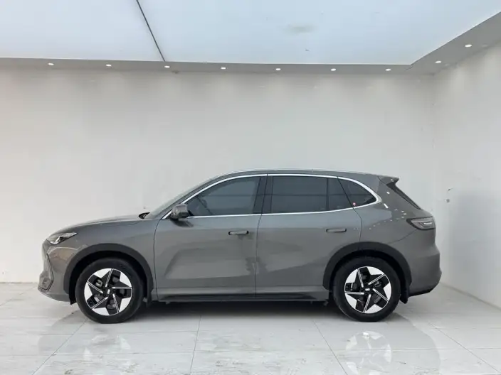Geely Galaxy E5 2024 Model 530km Tiggo + Edition