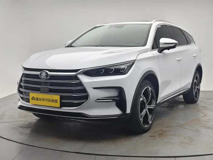 BYD Tang DM 2021 Model DM-i 1.5T 112KM Zunrong Model – фото 1
