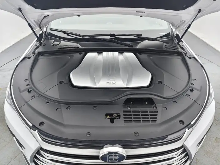 BYD Tang DM 2021 Model DM-i 1.5T 112KM Zunrong Model – фото 10