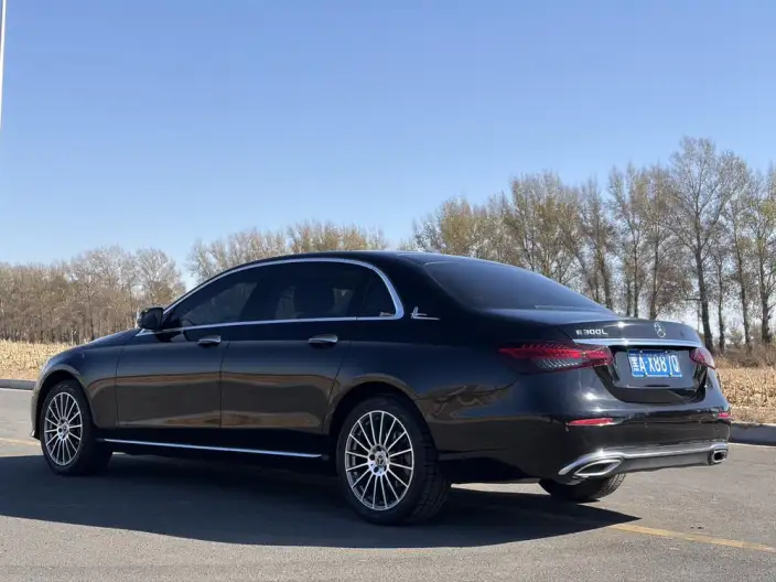 Mercedes-Benz E-Class 2022 Model E 260 L 4MATIC sedan – фото 4