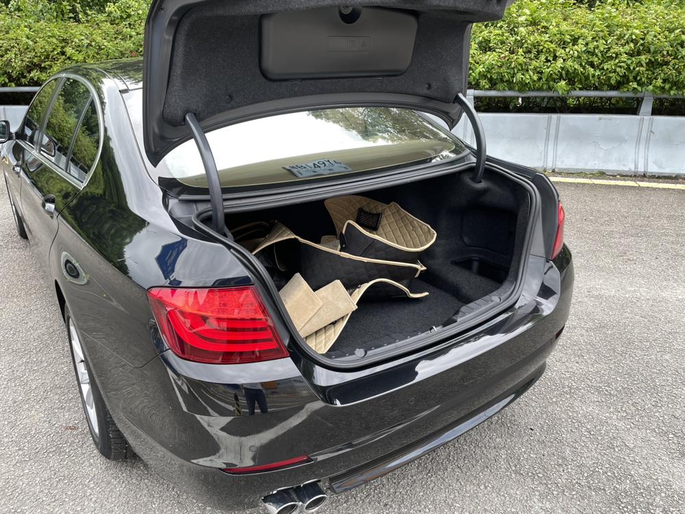 BMW 5 Series 2011 523Li Luxury – фото 4