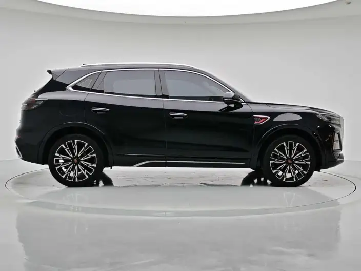 Hongqi HS5 2023 Model 2.0T 4WD Flag Xiang Pro Edition – фото 8