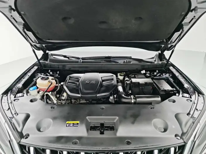 Hongqi HS5 2023 Model 2.0T 4WD Flag Xiang Pro Edition – фото 10