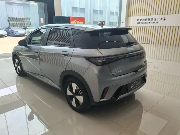 BYD Dolphin 2023 Model Fashion Edition – фото 4