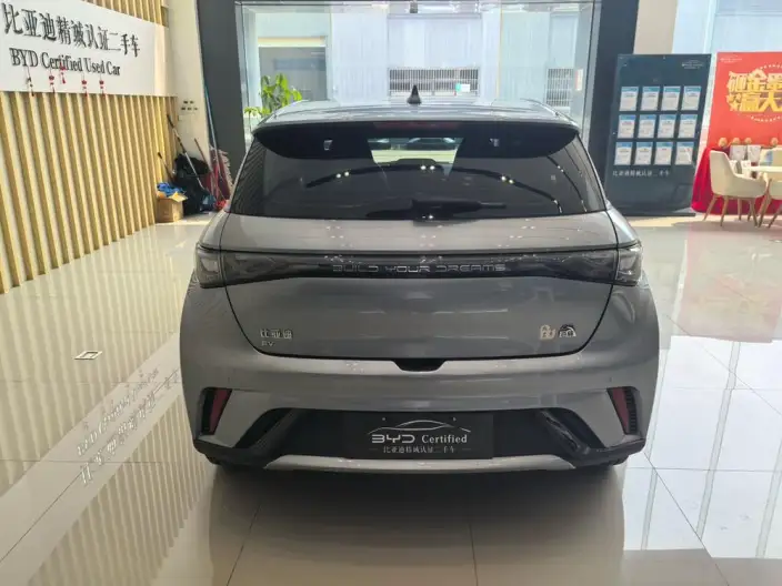 BYD Dolphin 2023 Model Fashion Edition – фото 5