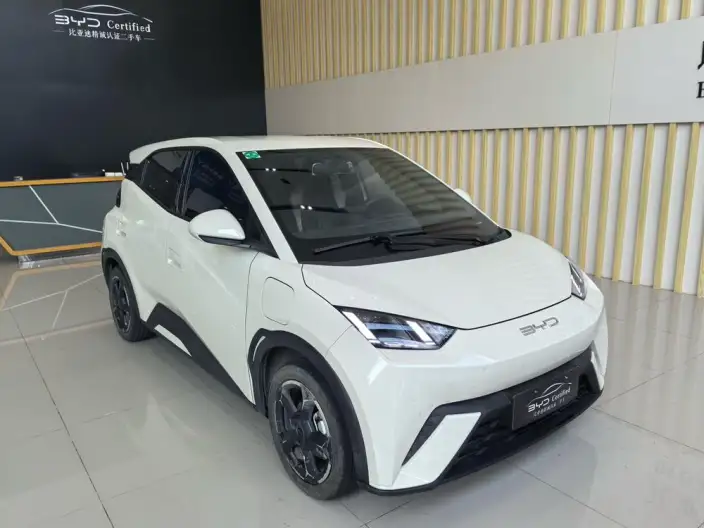 BYD Seagull 2023 Model Free Edition – фото 3