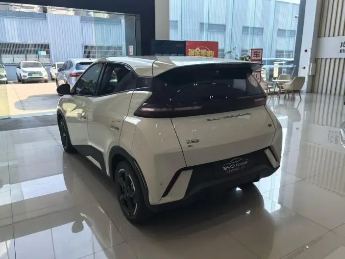 BYD Seagull 2023 Model Free Edition – фото 4