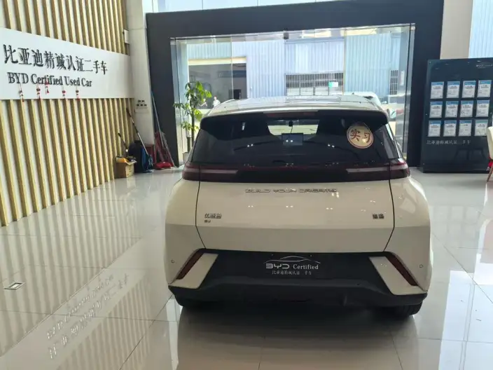 BYD Seagull 2023 Model Free Edition – фото 5