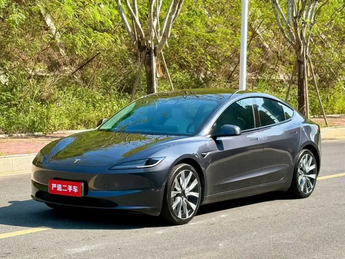 Model 3 2023 Model Long Battery Life Pro All-wheel drive version – фото 1