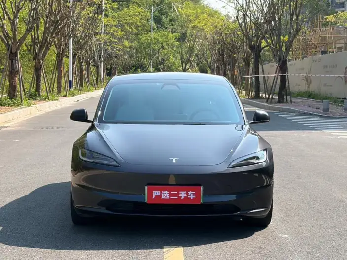 Model 3 2023 Model Long Battery Life Pro All-wheel drive version – фото 2