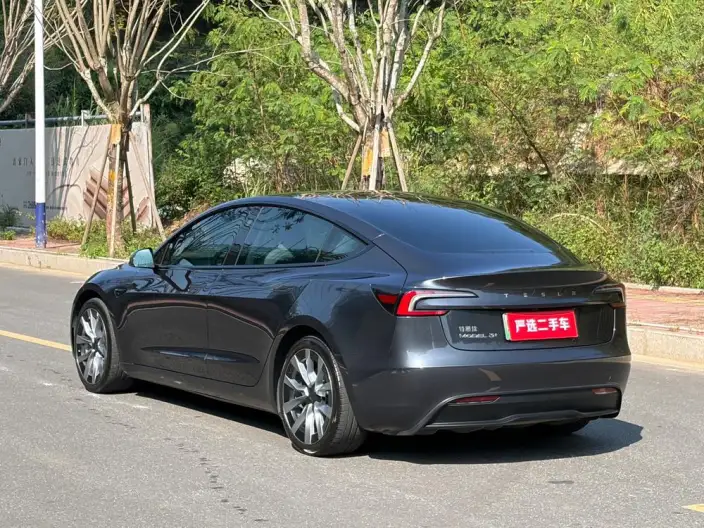 Model 3 2023 Model Long Battery Life Pro All-wheel drive version – фото 4