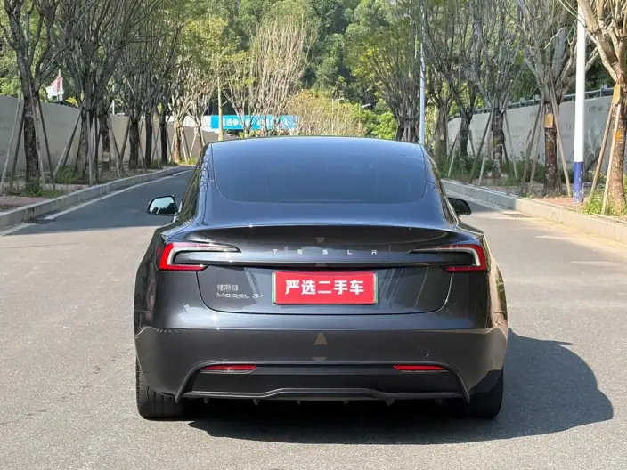 Model 3 2023 Model Long Battery Life Pro All-wheel drive version – фото 5