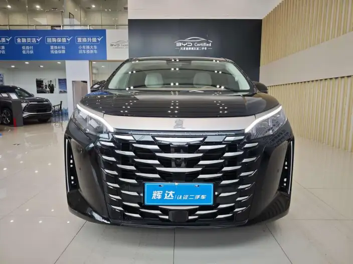 Xia 2025 Model DM-i 180KM Excellence Model – фото 2