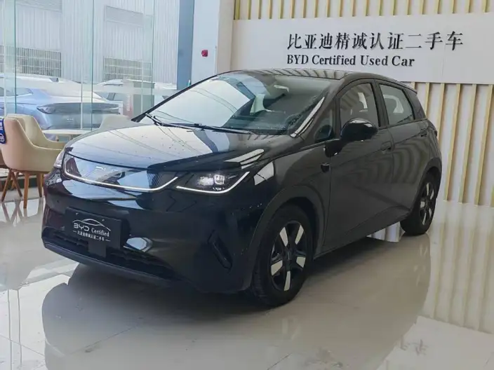 BYD Dolphin 2025 Model Smart Driving Edition 410KM Fashion Edition – фото 1