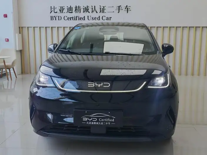 BYD Dolphin 2025 Model Smart Driving Edition 410KM Fashion Edition – фото 2