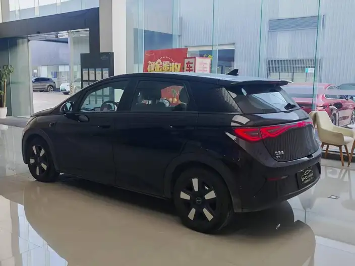 BYD Dolphin 2025 Model Smart Driving Edition 410KM Fashion Edition – фото 5