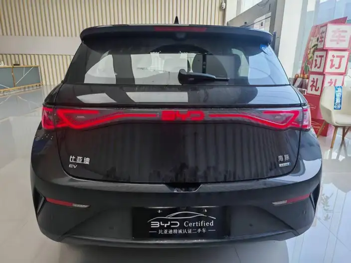 BYD Dolphin 2025 Model Smart Driving Edition 410KM Fashion Edition – фото 6