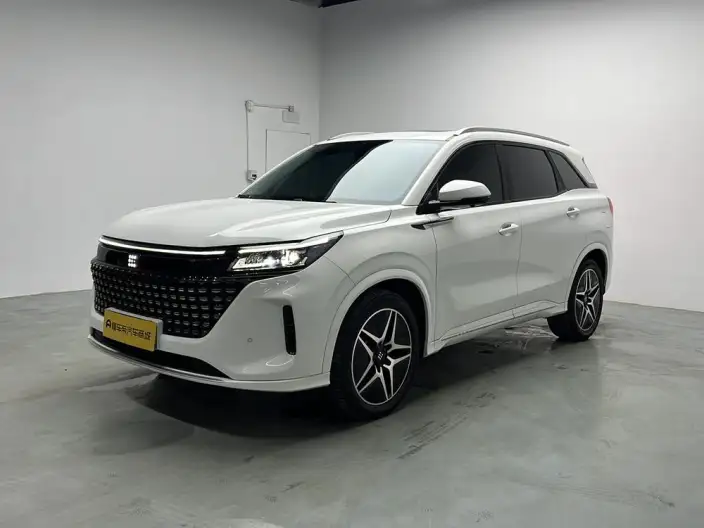 Blue Electric E5 2024 Model Honor Edition 100km Zhen Xiang Model – фото 1