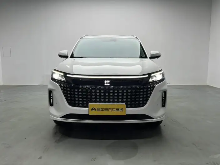 Blue Electric E5 2024 Model Honor Edition 100km Zhen Xiang Model – фото 2