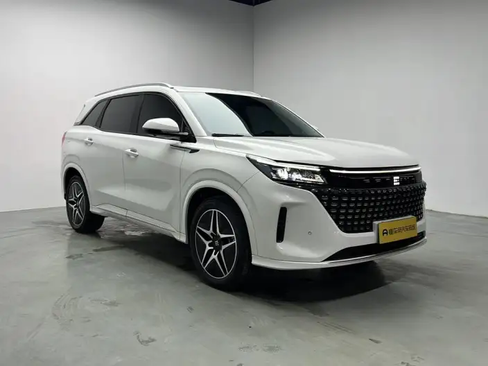 Blue Electric E5 2024 Model Honor Edition 100km Zhen Xiang Model – фото 3