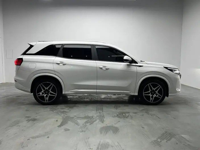 Blue Electric E5 2024 Model Honor Edition 100km Zhen Xiang Model – фото 8