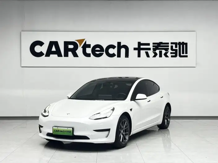 Model 3 2022 Model Rear-wheel drive version – фото 1
