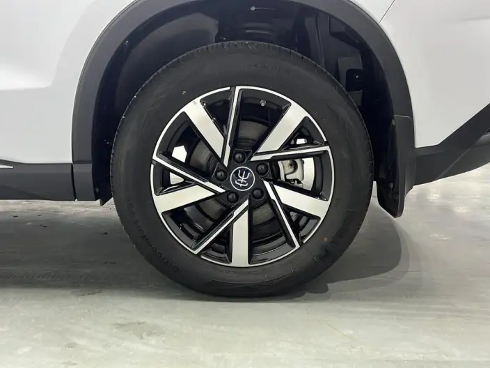 BYD Song Pro DM 2024 Model DM-i Honor Edition 71km Pilot Model – фото 9