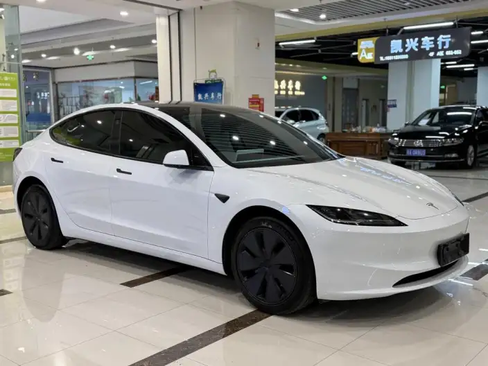 Model 3 2023 Model Rear-wheel drive version – фото 3