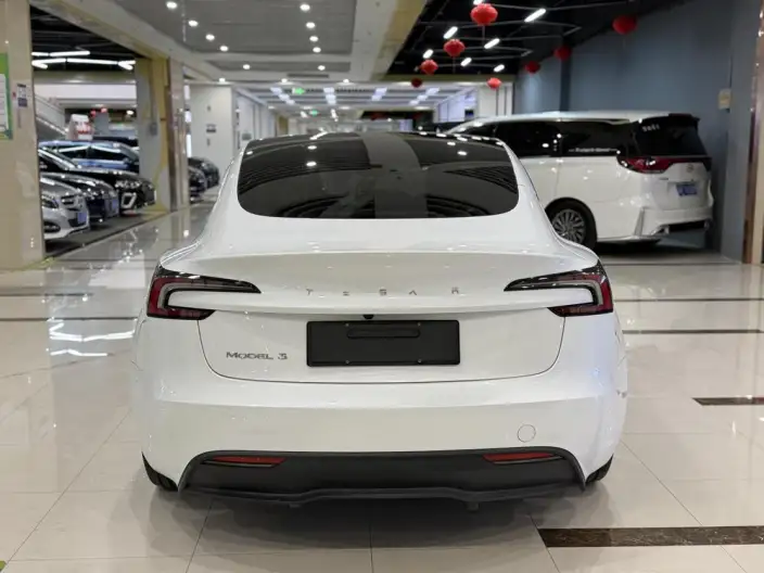 Model 3 2023 Model Rear-wheel drive version – фото 5