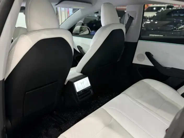 Model 3 2023 Model Rear-wheel drive version – фото 9