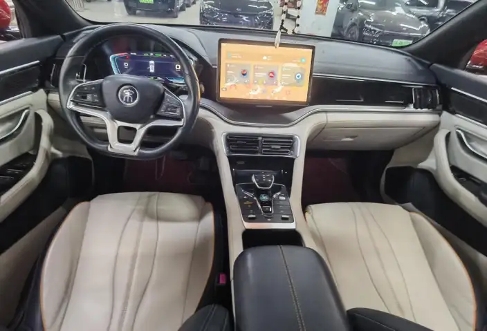 BYD Song PLUS EV 2021 Model Noble Model – фото 10