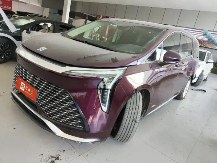Century 2023 Model 2.0T VII seat Yunshi Edition – фото 1
